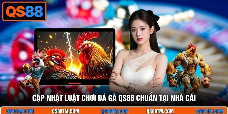 Cập nhật luật chơi đá gà QS88 chuẩn tại nhà cái