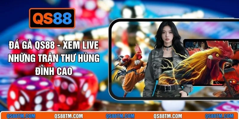 Đá Gà QS88 - Xem Live Những Trận Thư Hùng Đỉnh Cao