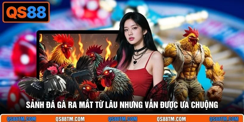 Sảnh đá gà ra mắt từ lâu nhưng vẫn được ưa chuộng
